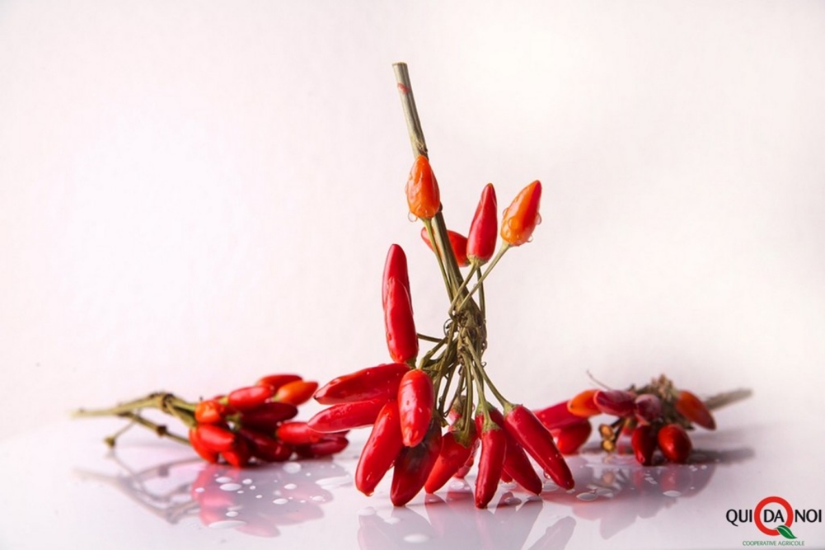 Cibo e Superstizione. Perché “Non si Sa Mai”
