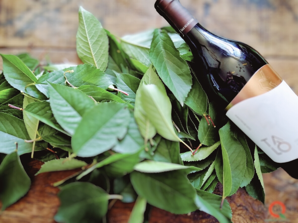 Un liquore speciale: il 100 foglie di Amarena